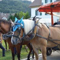 Beitrag &raquo; Dorffest2019